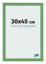 Bilderrahmen 30x45 cm Grun MDF Bologna Vorne Messe | Yourdecoration.at