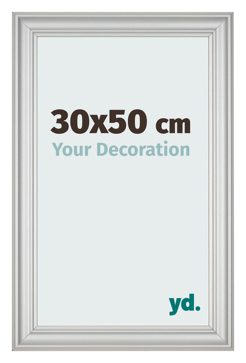 Bilderrahmen 30x50cm Silber Matt MDF Lazio Vorne Messe | Yourdecoration.at