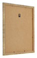 Bilderrahmen 35x35cm Gold Antik MDF Bologna Ruckseite Schrag | Yourdecoration.at
