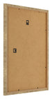 Bilderrahmen 40x45cm Gold Antik MDF Bologna Ruckseite Schrag | Yourdecoration.at