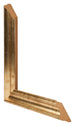 Bilderrahmen 45x60cm Gold Antik MDF Lazio Detail Querschnitte | Yourdecoration.at