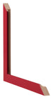 Bilderrahmen 48x68cm Rot MDF Bologna Detail Querschnitte | Yourdecoration.at