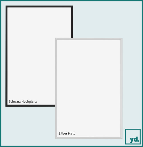 Bilderrahmen 46x61 cm - Silber Matt - Aluminium - Miami