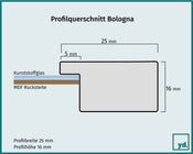 Bologna Detail Querschnitt Zeichnung | Yourdecoration.at