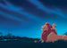 Disney The Lion King Stargazing Fototapete DX7 197 | Yourdecoration.at