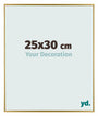 Evry Kunststoff Bilderrahmen 25x30cm Gold Vorne Messe | Yourdecoration.at
