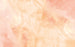 Fototapete Candy Peach 400x250cm FLX8 001 | Yourdecoration.at