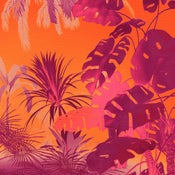 Fototapete Funky Jungle 250x250cm Komar FLX5 049 | Yourdecoration.at