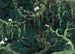 Fototapete Orch Idee 350x250cm FLX7 019 | Yourdecoration.at