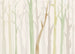Fototapete Shadow Woods 350x250cm FLX7 008 | Yourdecoration.at