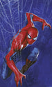 Marvel Spider Man Spider Fototapete DX3 210 | Yourdecoration.at