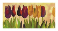 PGM CGC 14 Carlos Gomez Carpintero Tulipa II Kunstdruck 54x30cm | Yourdecoration.at