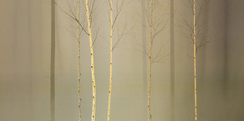 PGM MGD 212 Ged Mitchell Winterlely Wood Kunstdruck 100x50cm | Yourdecoration.at
