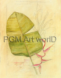 PGM TNA 52 Avery Tillmon Botanical Journal I Kunstdruck 56x71cm | Yourdecoration.at