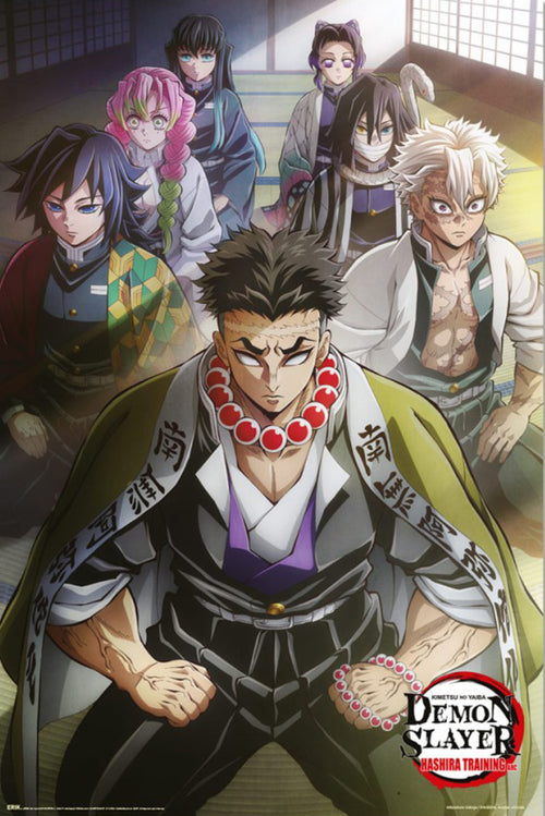 Poster Demon Slayer Hashira Training 1 61x91 5cm GPE6072 | Yourdecoration.at