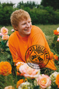Poster Ed Sheeran Rose Field 61x91 5cm Abystyle GBYDCO396 | Yourdecoration.at