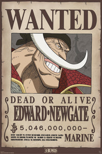 Poster One Piece Wanted Whitebeard 61x91 5cm GBYDCO596 | Yourdecoration.at