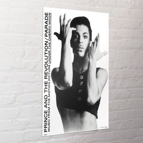 Poster Prince 61x91 5cm WPSX056 Sfeer | Yourdecoration.at
