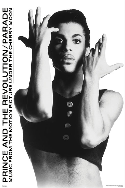 Poster Prince 61x91 5cm WPSX056 | Yourdecoration.at