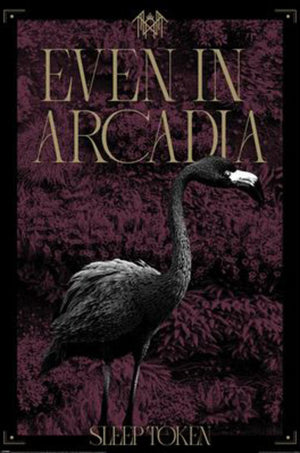 Poster Sleep Token Arcadia 61x91 5cm PP2501072 | Yourdecoration.at