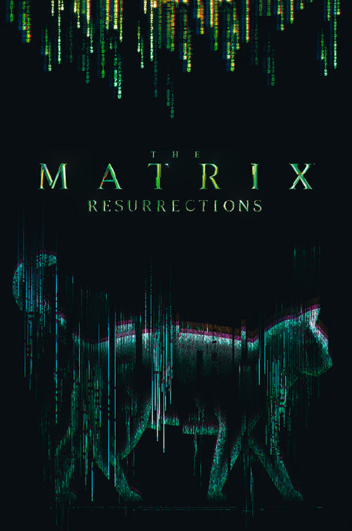 Abystyle Abydco864 The Matrix Cat Poster 61x91,5cm | Yourdecoration.at
