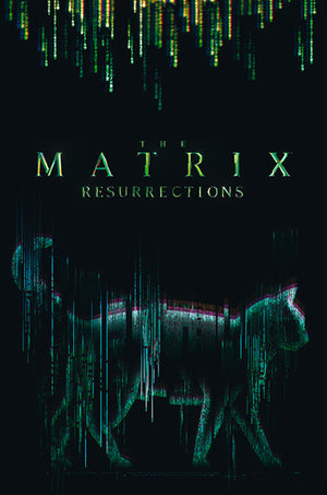 Abystyle Abydco864 The Matrix Cat Poster 61x91,5cm | Yourdecoration.at