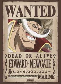 Abystyle Gbydco263 One Piece Wanted Whitebeard Poster 38x52cm | Yourdecoration.at