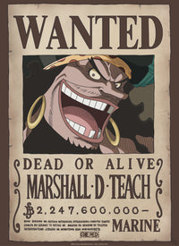 Abystyle Gbydco267 One Piece Wanted Blackbeard Poster 38x52cm | Yourdecoration.at