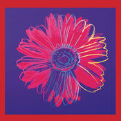 Andy Warhol Daisy 1982 Kunstdruck 90x90cm | Yourdecoration.de