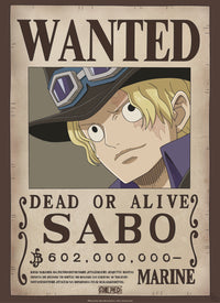 Gbeye Gbydco260 One Piece Wanted Poster 38x52cm | Yourdecoration.at