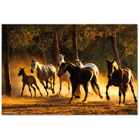 Grupo Erik GPE5532 Andalusian Horses Poster 91,5X61cm | Yourdecoration.at