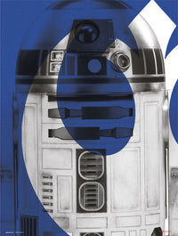 Grupo Erik Star Wars Episode Ix R2 D2 Kunstdruck 30X40cm | Yourdecoration.at