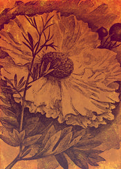 Komar Vlies Fototapete Inx4 031 Harvest | Yourdecoration.at