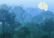 Komar Vlies Fototapete Inx8 052 Deep In The Jungle | Yourdecoration.at