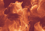 Komar Vlies Fototapete Inx8 073 Evoke | Yourdecoration.at