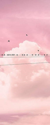 Komar Cloud Wire Vlies Fototapete 100x250cm 1 bahn | Yourdecoration.de