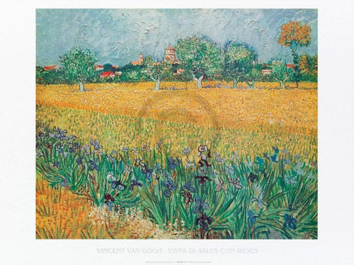 Vincent Van Gogh Vista di Arles Con Irises Kunstdruck 80x60cm | Yourdecoration.de