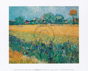 Vincent Van Gogh Vista di Arles Con Irises Kunstdruck 30x24cm | Yourdecoration.de