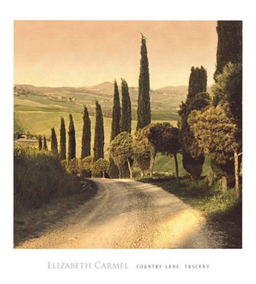 Elisabeth Carmel Country Lane, Tuscany Kunstdruck 45x50cm | Yourdecoration.de