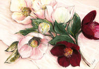 Elisabeth Krobs Elegant Anemones Kunstdruck 100x70cm | Yourdecoration.de