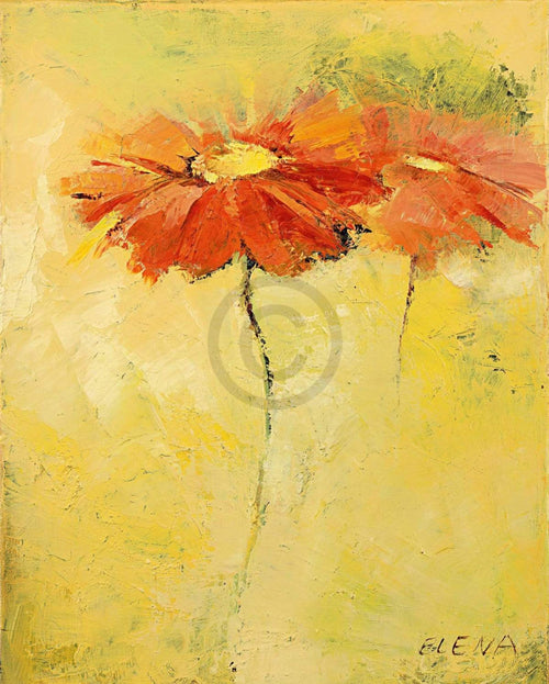 Elena Filatov Feldblumen I Kunstdruck 40x50cm | Yourdecoration.de