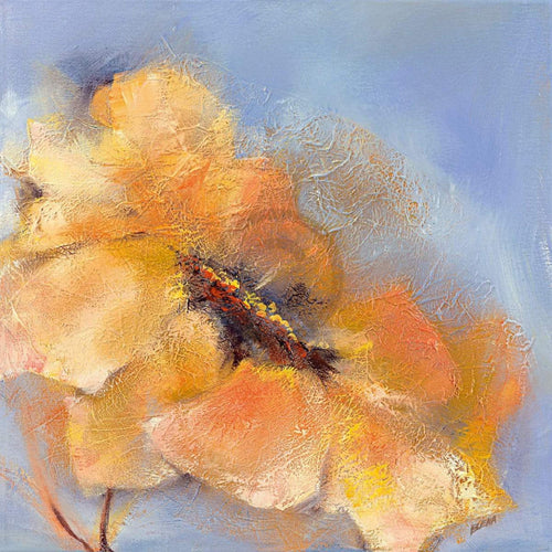 Elena Filatov Bright Anemone II Kunstdruck 50x50cm | Yourdecoration.de