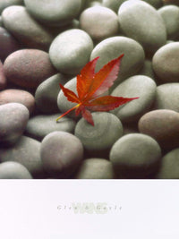 Glen & Gale Wans Leaf on Stone Kunstdruck 45x61cm | Yourdecoration.de