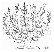 Henri Matisse Le platane Kunstdruck 100x100cm | Yourdecoration.de
