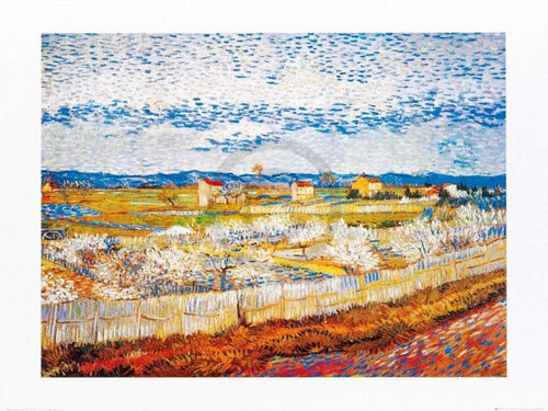 Vincent Van Gogh Pesco in fiore Kunstdruck 80x60cm | Yourdecoration.de