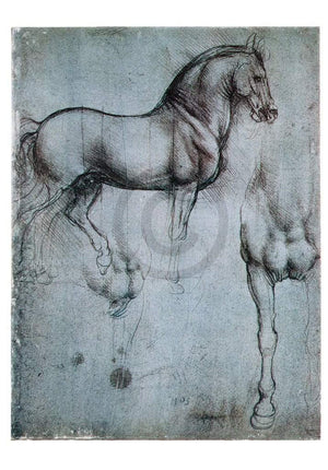 Leonardo Da Vinci Studio di cavalli Kunstdruck 35x50cm | Yourdecoration.de