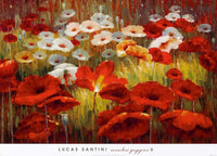 Lucas Santini Meadow Poppies II Kunstdruck 91x66cm | Yourdecoration.de
