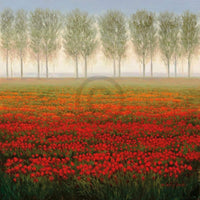 Park Morning Mist Kunstdruck 68x68cm | Yourdecoration.de