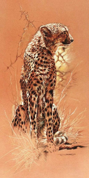 Renato Casaro Cheetah Kunstdruck 50x100cm | Yourdecoration.de