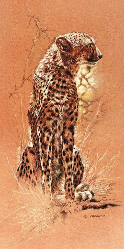 Renato Casaro Cheetah Kunstdruck 50x100cm | Yourdecoration.de